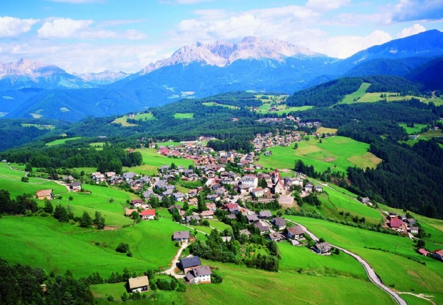 Camicrema en el verde 
